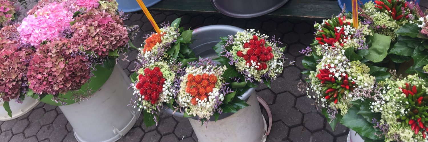 çiğdem savaşçıoğlu banner