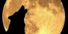 s_navarez's profile banner image
