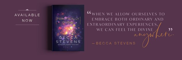 Becca Stevens banner