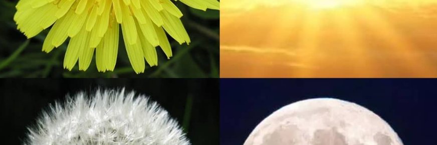 SansPeur66🇷🇺 banner