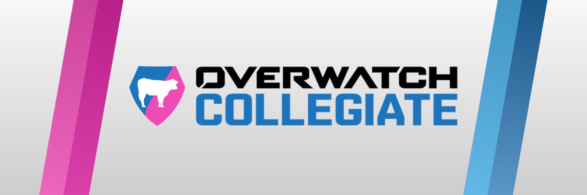 Collegiate Overwatch banner