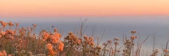 Montse PonceDeLeón banner