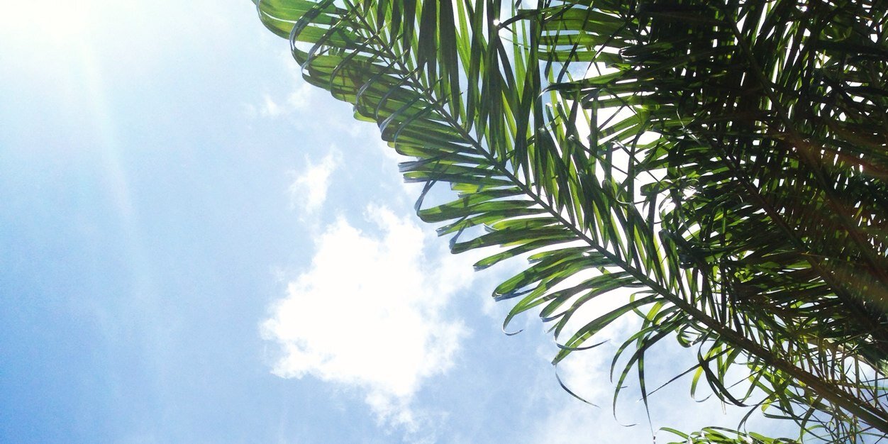 MiamiWriting's profile banner image