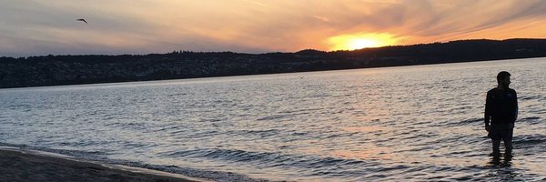 AdynskiHarry Profile Banner