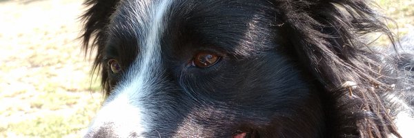 Jonapeppers Profile Banner