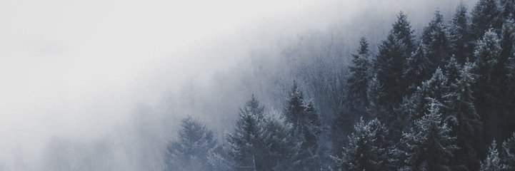 TinaGaut's profile banner image