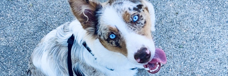 noahbthompson60's profile banner image