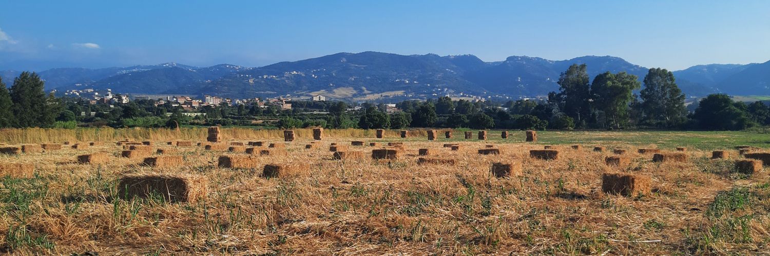 TonyAdvhzu FPL 🇵🇸 banner