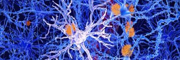 boratastan13 Profile Banner