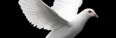 iam_magiq's profile banner image