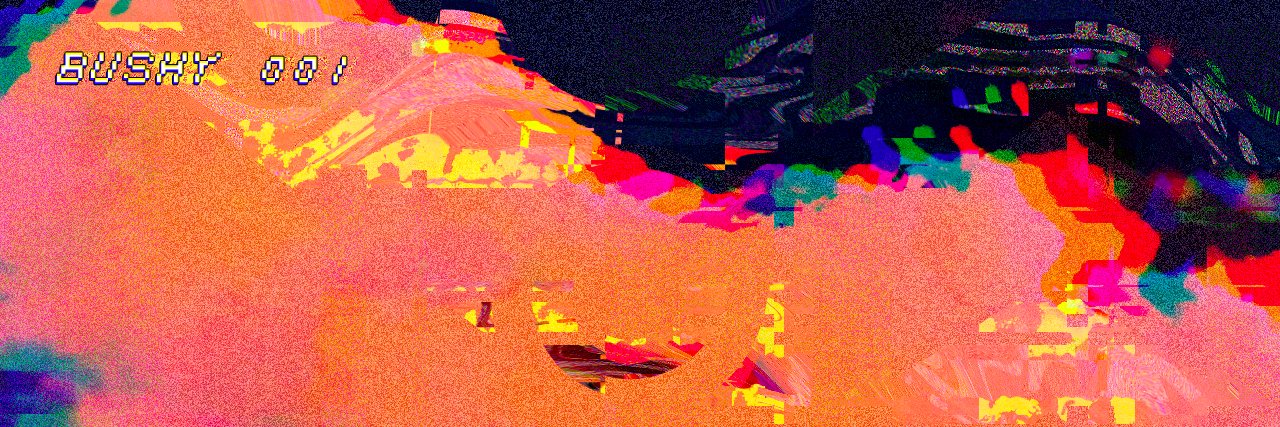 TheBushyProject's profile banner image