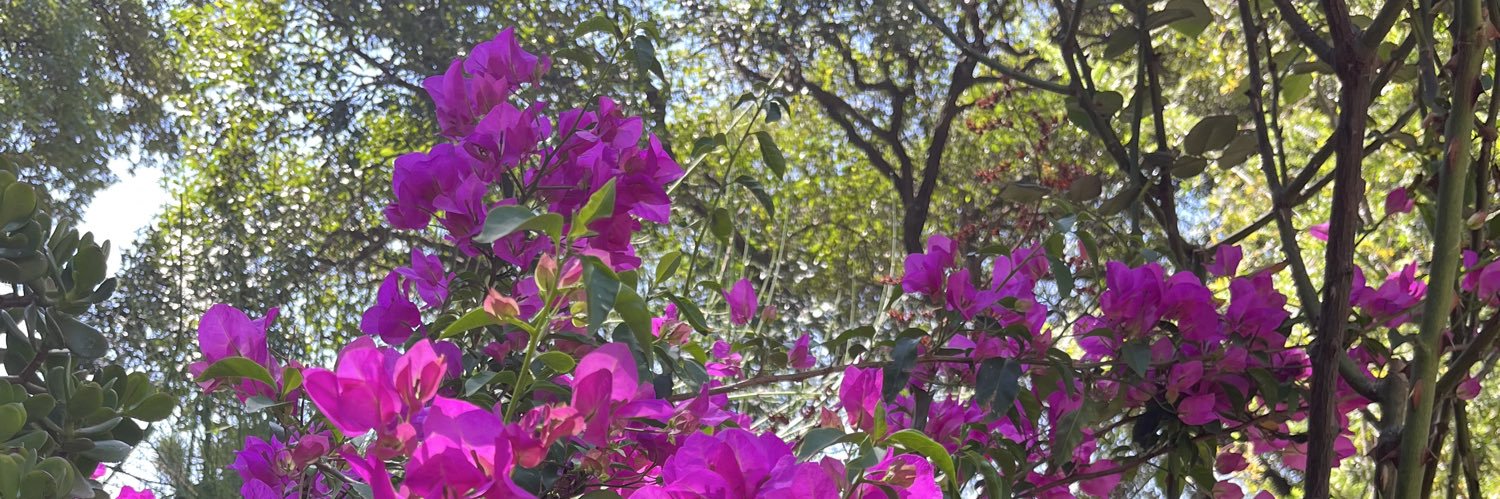 Ян_Александр banner