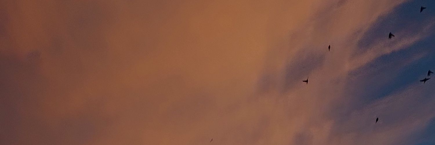 manuugm07's profile banner image