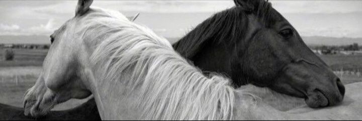 الله يرحمها banner