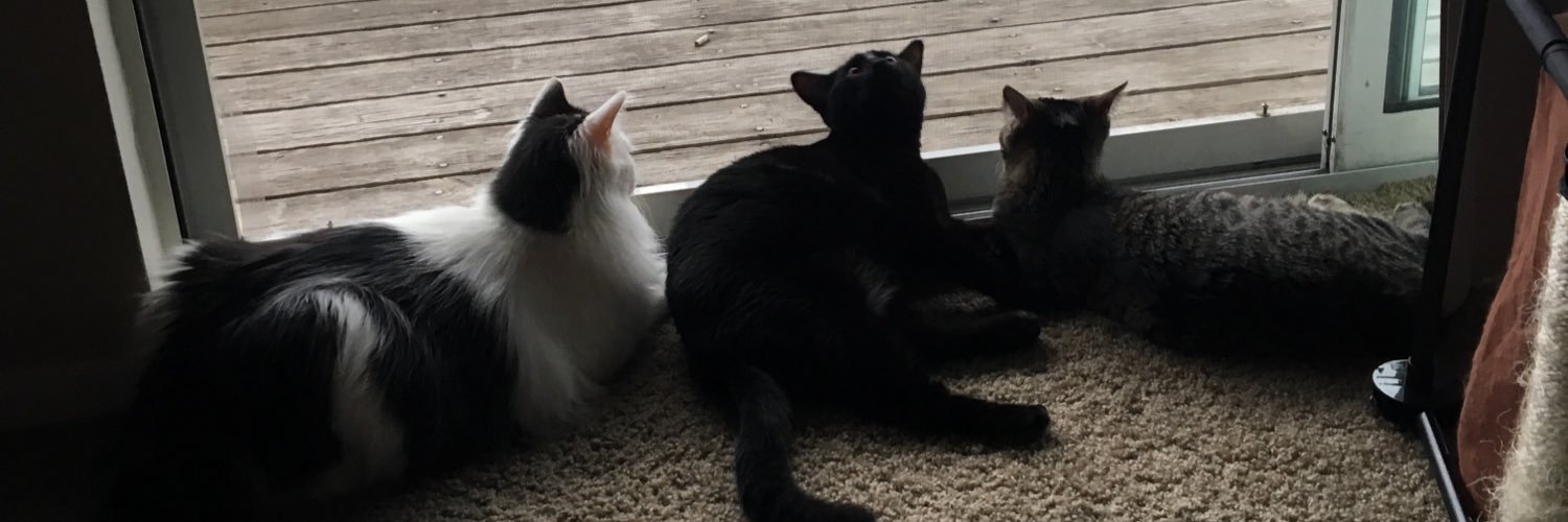Moo_Kitty18's profile banner image