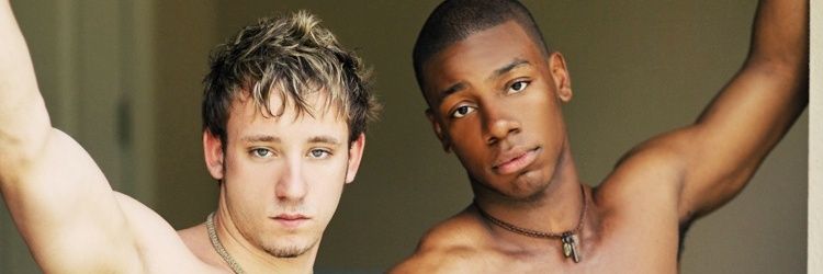 ClashoftheCocks banner