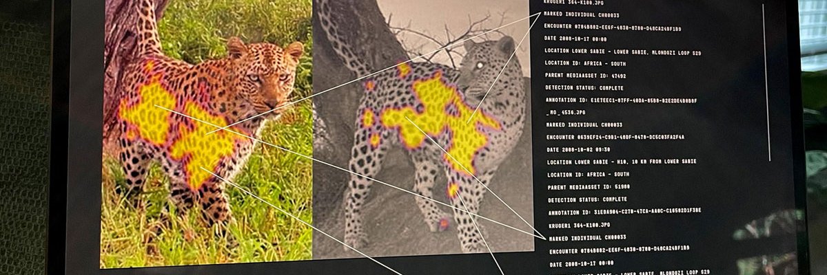 African Carnivore Wildbook banner