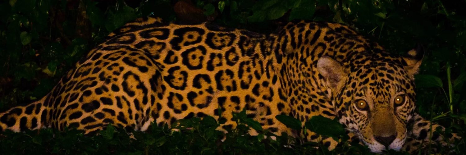 iamtaynaa's profile banner image