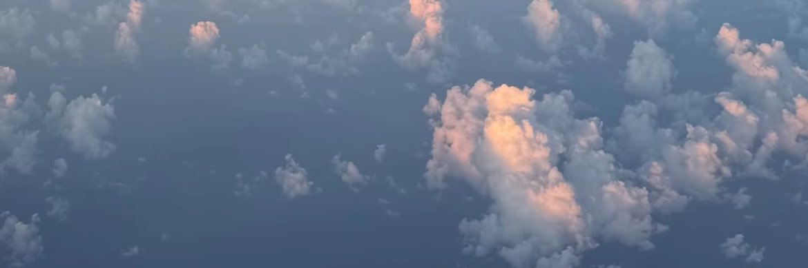 DAVOLONTE's profile banner image