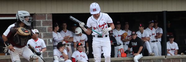 schllp Profile Banner