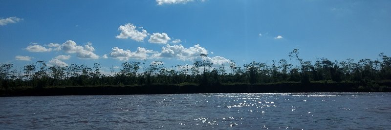 Rocilda Nunta banner