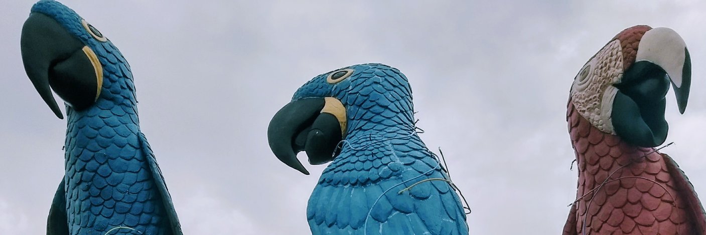 alfredoej's profile banner image
