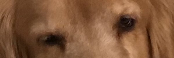 markbauer17 Profile Banner