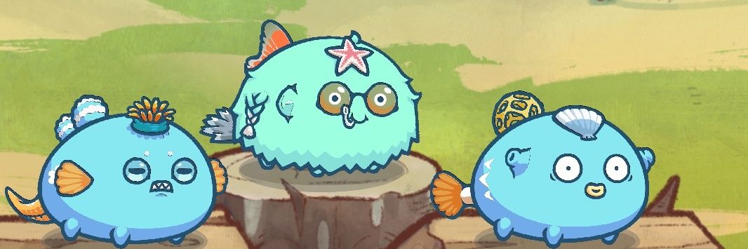 Chanical banner