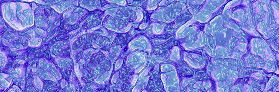 infopathic's profile banner image