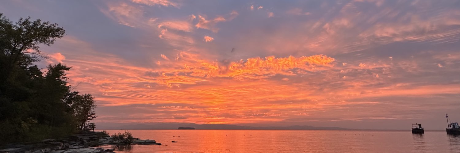 Elizabeth E. Wicks, MD banner