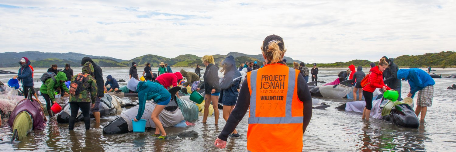 Project Jonah banner