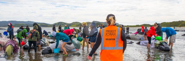 ProjectJonah Profile Banner