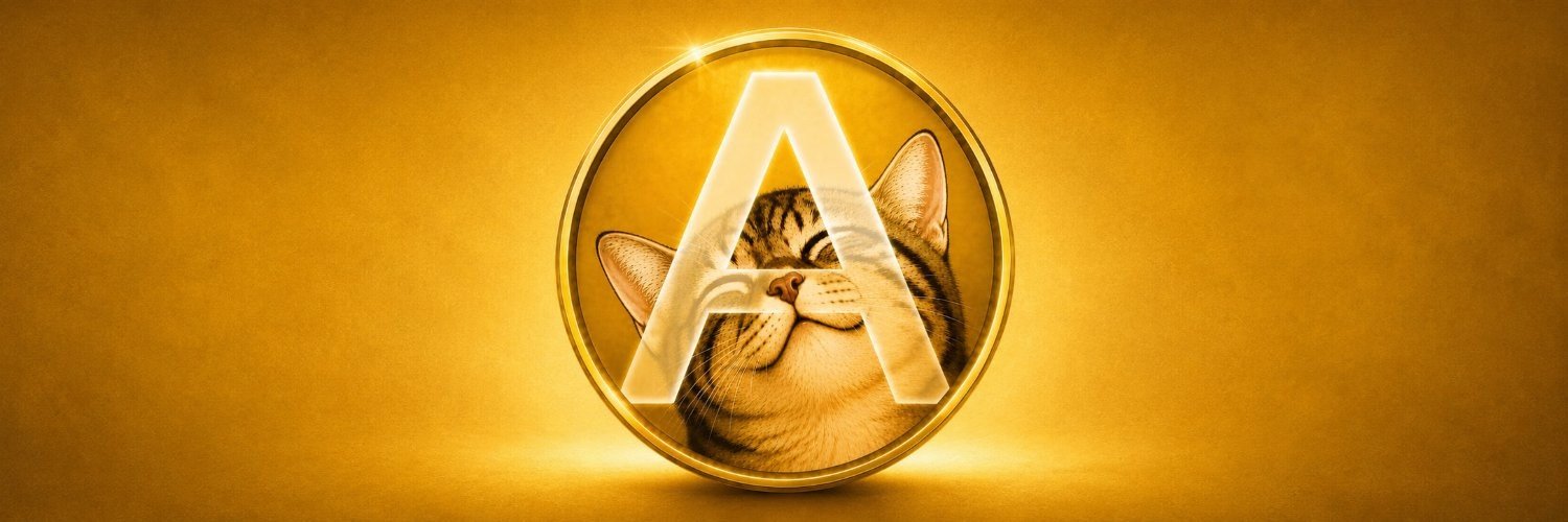 AllocateSolana_'s profile banner image