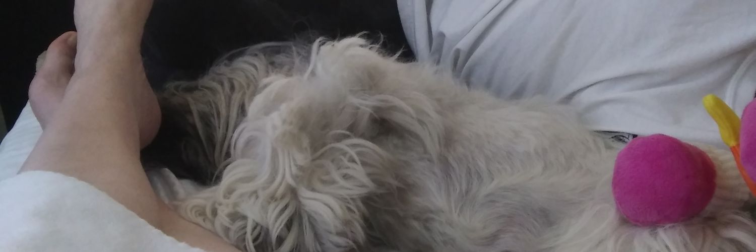 FrankLussk's profile banner image