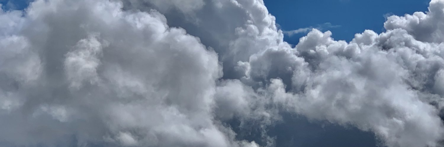 The History Guy banner