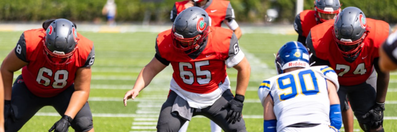 Dominickfrausto banner