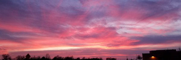 JulieMM Profile Banner