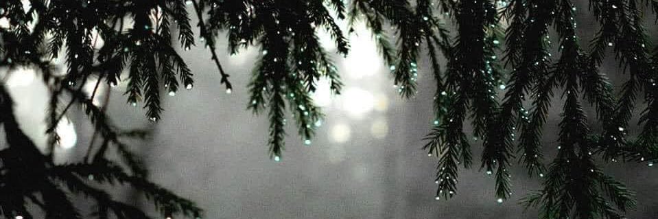 corral_geo's profile banner image