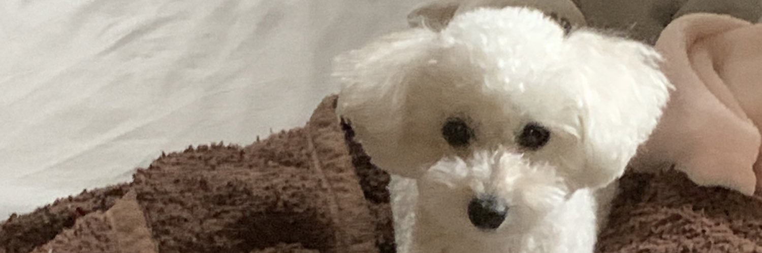 DaisukeF46's profile banner image