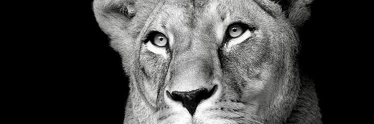 PaoBernalBeltrán banner