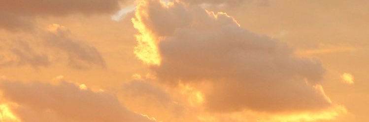 s_a0y's profile banner image