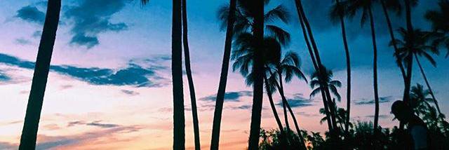 Janellis_'s profile banner image