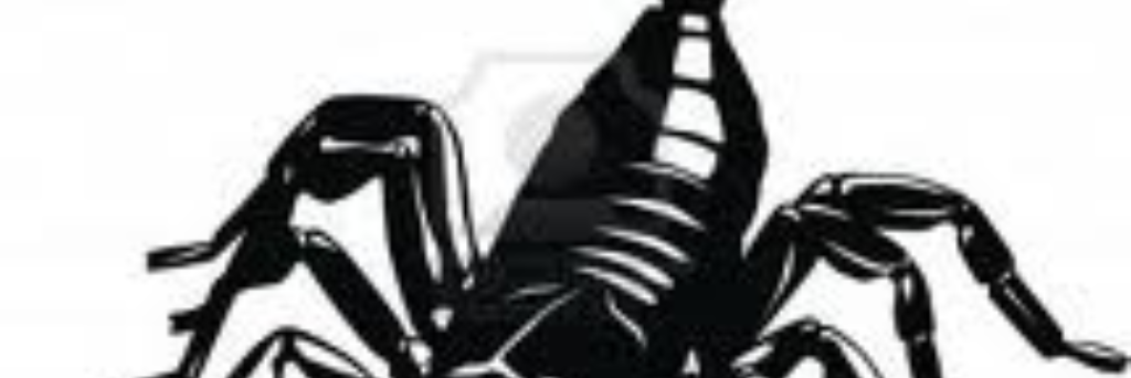 ALDOSALVATORE's profile banner image