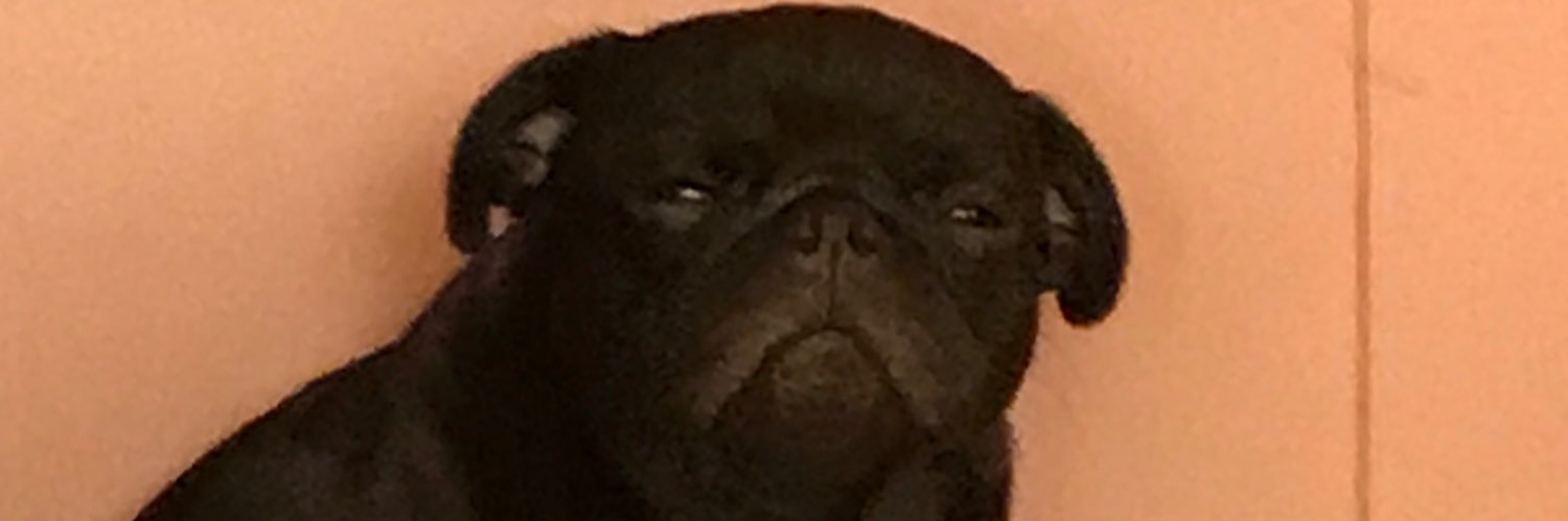 ebaelon's profile banner image
