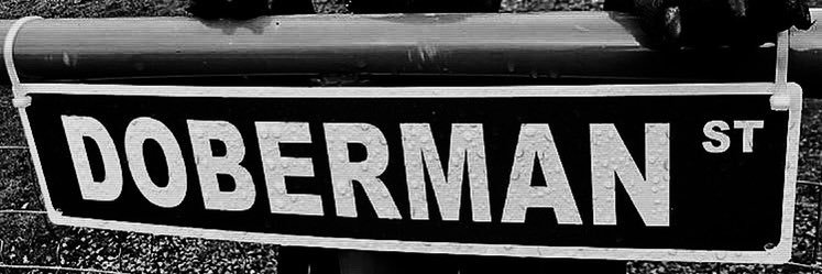 𝐓𝐲𝐠𝐚 banner