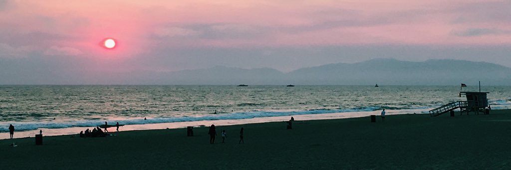 peetah91's profile banner image
