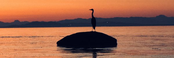 JoolzAudio Profile Banner