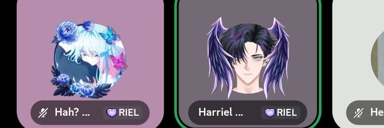 Zoeee banner