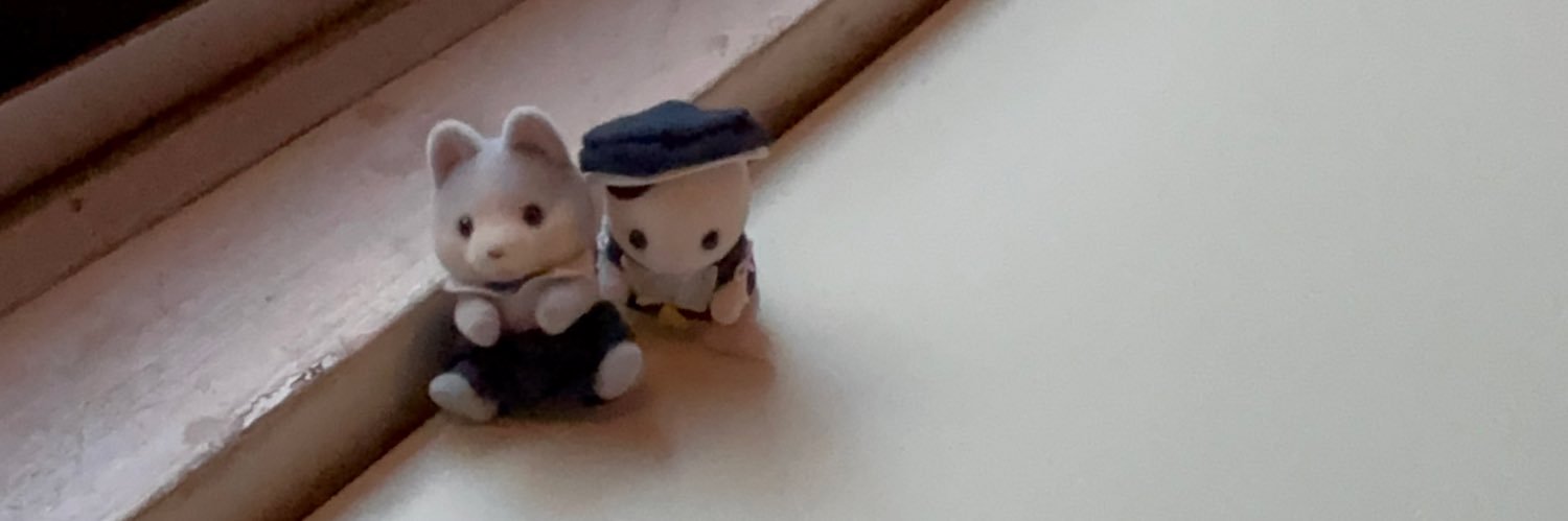 95Pg56's profile banner image