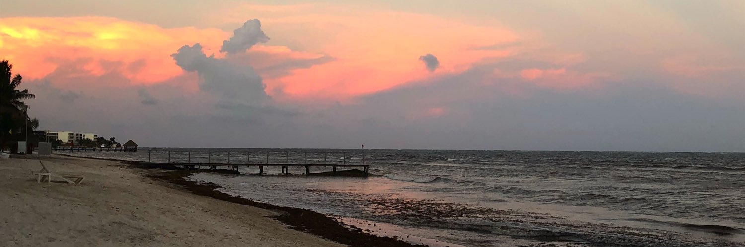 ElenaDontWorry's profile banner image